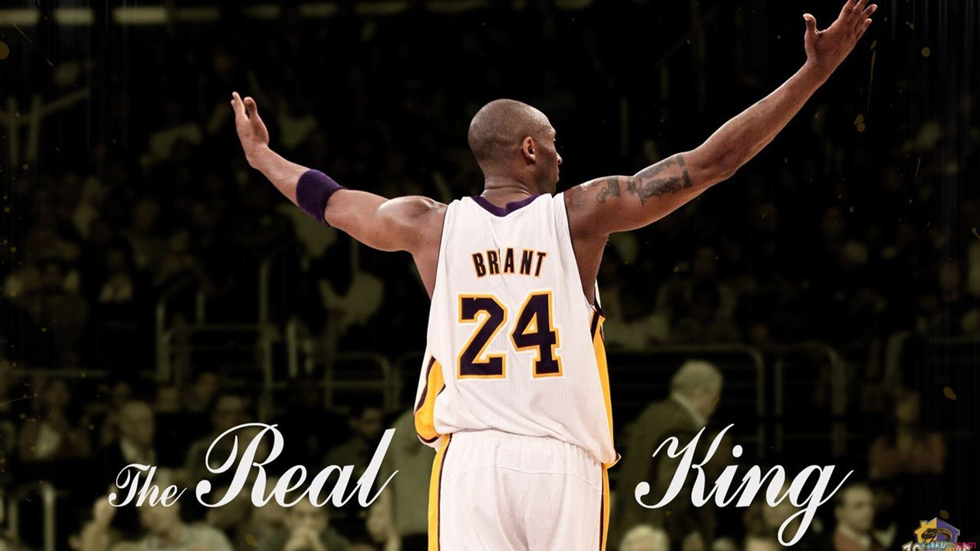 亚洲新星闪耀国际田联钻石联赛 男子110米跨栏再创佳绩