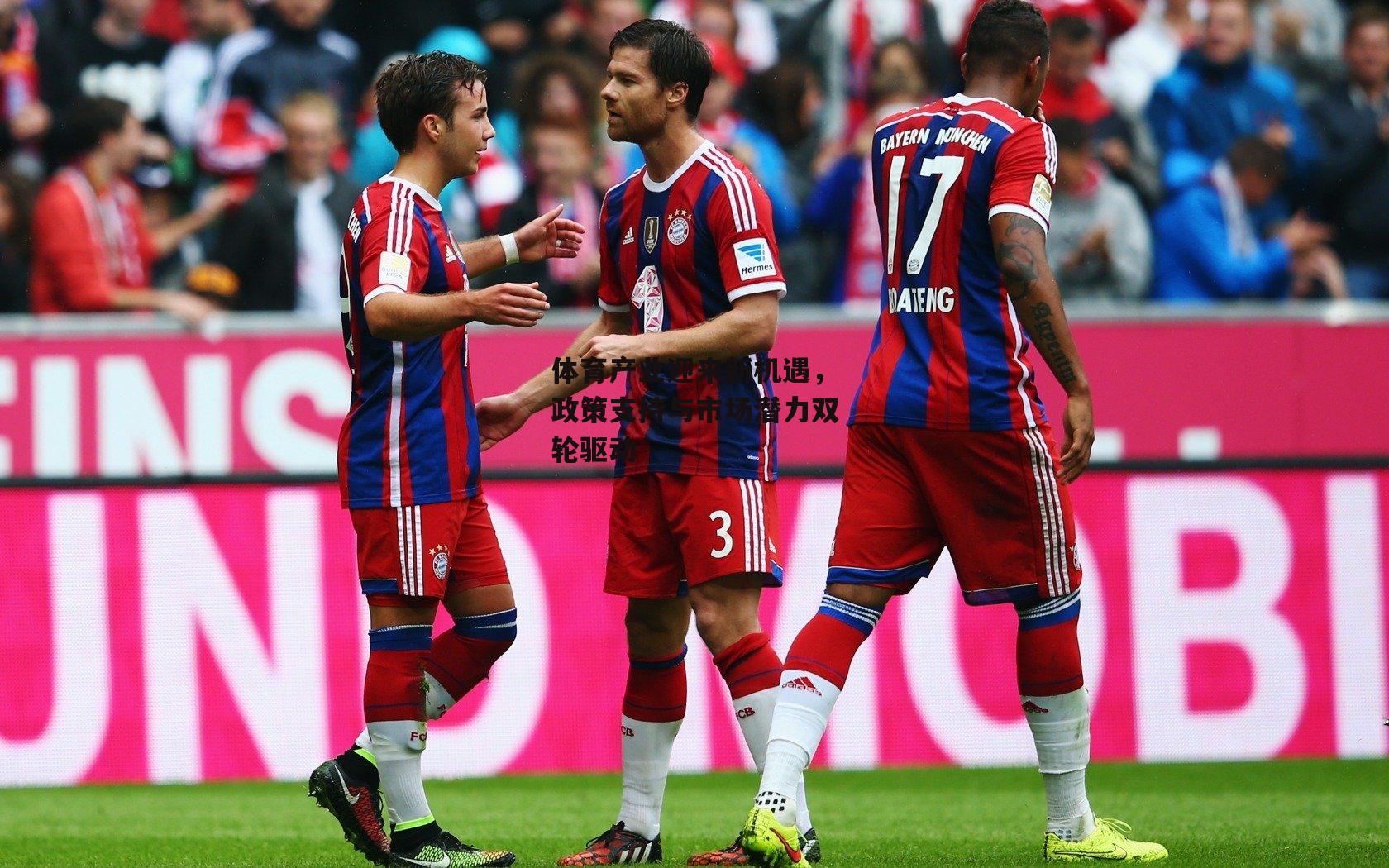 体育产业迎来新机遇，政策支持与市场潜力双轮驱动