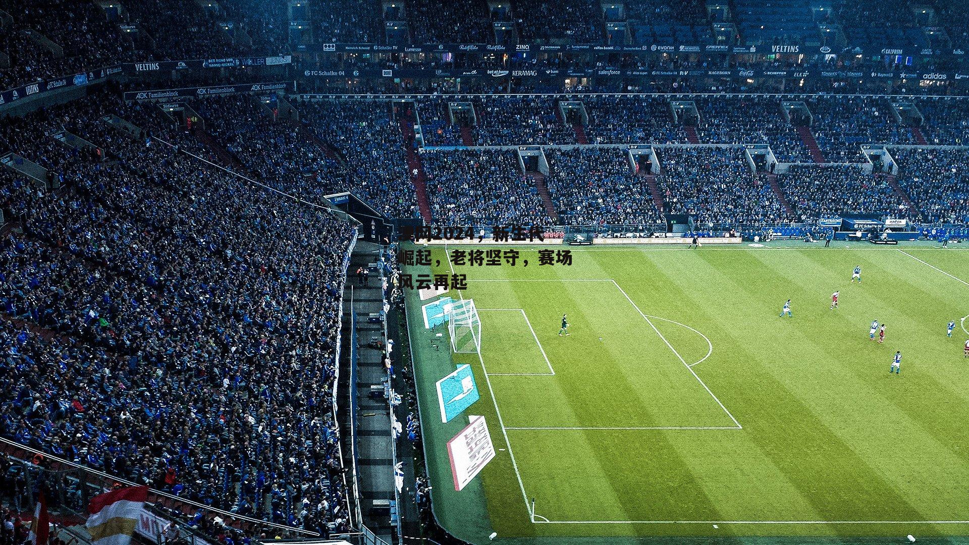 澳网2024,新生代崛起,老将坚守,赛场风云再起