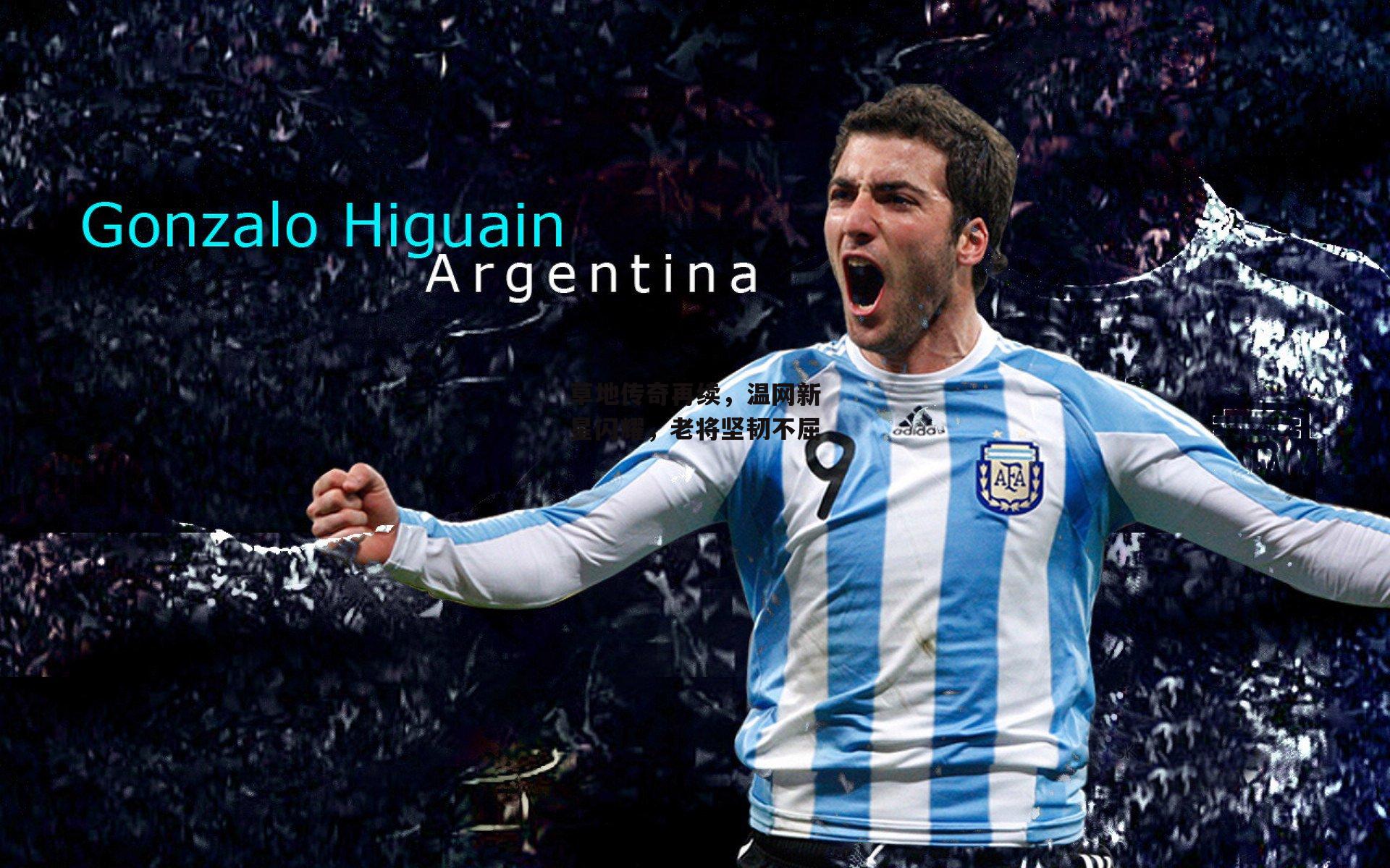 草地传奇再续，温网新星闪耀，老将坚韧不屈